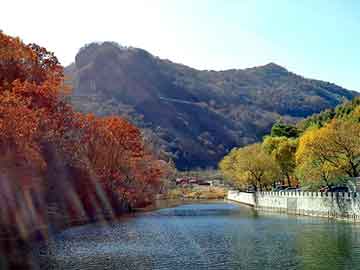 新澳天天开奖资料大全旅游团，红酒木瓜靓汤骗局